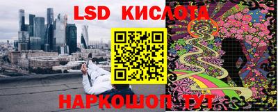 прущие грибы Апшеронск