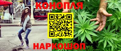 прущие грибы Апшеронск