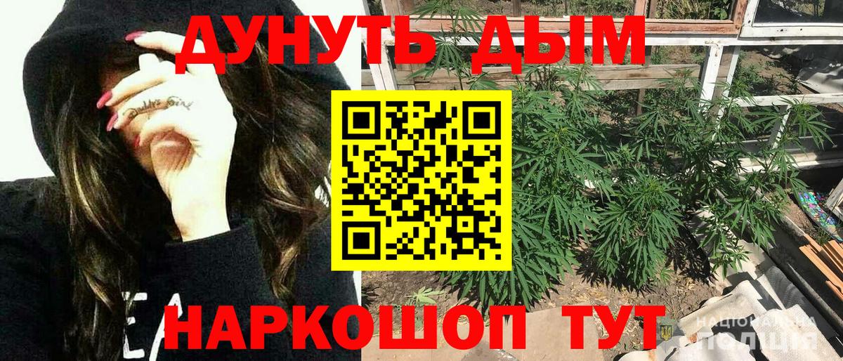 Каннабис индика Берёзовский